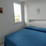 Cod 466 - Taunus Vacanze * Numana