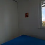 Cod 466 - Taunus Vacanze Apartment
